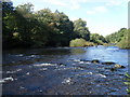 River Nith at Enterkinfoot