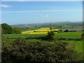 View North from Batchy Hill