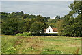 View Towards Norbury Park House, Surrey