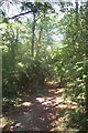 Public footpath in West Hoath Wood