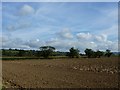 Ploughed field south of Wraxall