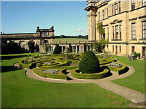 SE6082 : Parterre at Duncombe Hall by T Thirkle