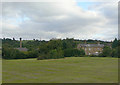 Elsecar Green