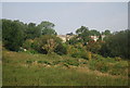 Looking towards Upper Fant Rd from the Medway Valley railway line