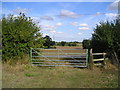 Gate and Stile near Elm Tree Farm