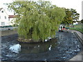 Pond  on  the  village  green.