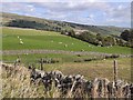 Fields at Hill Top