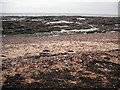 Beach, east of Arbroath