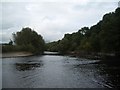 River Wye looking downstream from the tip of the small island