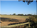 Stubble field near Shrawardine