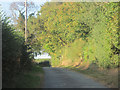 Up the road from Wilcott marsh