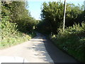 Exmoor : Country Road