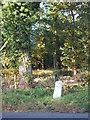 Milestone  by the road through Bagley Wood