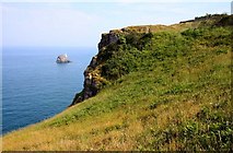 SX9456 : Berry Head Country Park by Steve Daniels