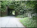 Railway bridge at Welsh Hook