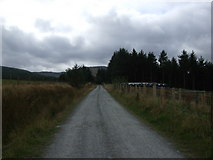 SH8049 : Track to forest at Penmachno by Richard Hoare