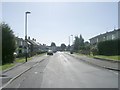 Walworth Avenue - viewed from Kennion Road