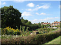 Plumpton Green Allotments