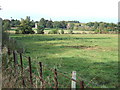 TF7026 : Pasture south of West Newton, near Sandringham by Richard Humphrey