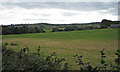 Field below Langdon Hospital