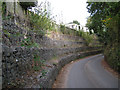 Week Lane below Golden Sands Holiday Park