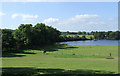 Pasture and lake near Llanddewi-Brefi, Ceredigion