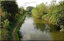 SO9388 : Dudley No 1 Canal by Brian Clift