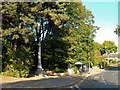 War Memorial Fulwood