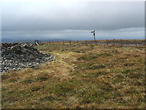 NT9019 : Cairn Hill by David Brown