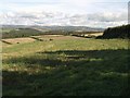 Field and view above Furzedown Wood