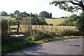 High Weald Landscape leaves Small Bridge Road