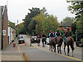 Race Horses at Tring Station