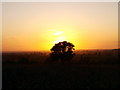 Early autumn sunset, Brampton