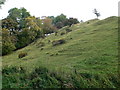 Bumpy hillock in Graianrhyd