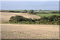 Farmland around Great Tregue