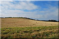 TL1331 : Rolling Farmland and County Boundary Near Pirton by Martin