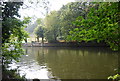 Tree lined River Medway