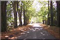 Access road toward Three Chimneys