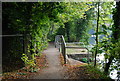 Footbridge, Medway Valley Walk