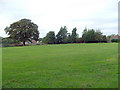 Madley Village playing field