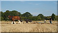 Surrey County Ploughing Match 2009 (14)