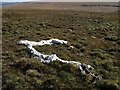 SX6068 : Sheep remains near Eylesbarrow by Derek Harper