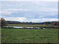 SJ3917 : Felton Butler pond by John Firth