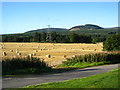 Hay bales, Ardross