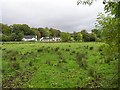 Gortnagarn Townland