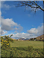 Farmland, Balmichael