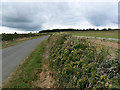 Pudlicote Lane, near Chipping Norton