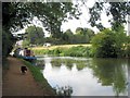 Grand Union Canal: South of Dudswell