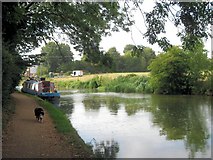 SP9609 : Grand Union Canal: South of Dudswell by Chris Reynolds