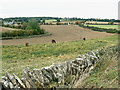 Field boundary, east of Bridewell Farm, East End, Witney